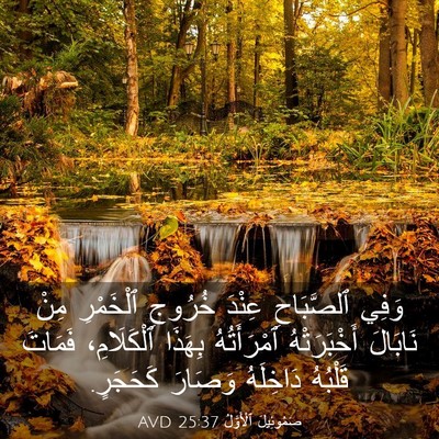 Picture 03 - صَمُوئِيلَ ٱلْأَوَّلُ 25:37 AVD - وَفِي ٱلصَّبَاحِ عِنْدَ - Bible Verse Picture