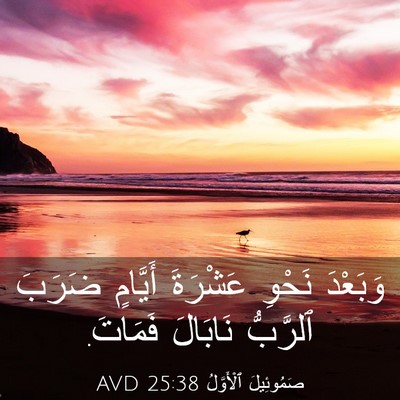 Picture 03 - صَمُوئِيلَ ٱلْأَوَّلُ 25:38 AVD - وَبَعْدَ نَحْوِ عَشْرَةَ - Bible Verse Picture