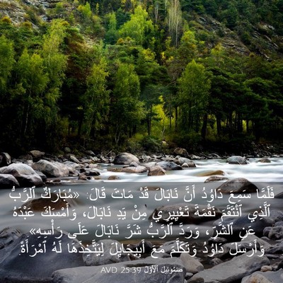 Picture 03 - صَمُوئِيلَ ٱلْأَوَّلُ 25:39 AVD - فَلَمَّا سَمِعَ دَاوُدُ - Bible Verse Picture