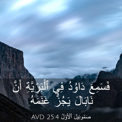 Picture 03 - صَمُوئِيلَ ٱلْأَوَّلُ 25:4 AVD - فَسَمِعَ دَاوُدُ فِي - Bible Verse Picture