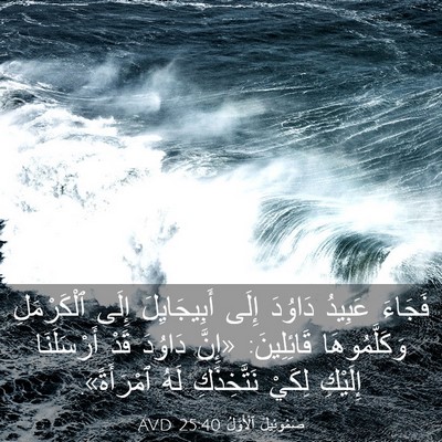 Picture 03 - صَمُوئِيلَ ٱلْأَوَّلُ 25:40 AVD - فَجَاءَ عَبِيدُ دَاوُدَ - Bible Verse Picture