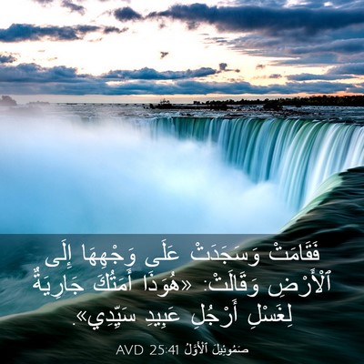 Picture 03 - صَمُوئِيلَ ٱلْأَوَّلُ 25:41 AVD - فَقَامَتْ وَسَجَدَتْ - Bible Verse Picture