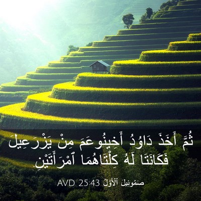 Picture 03 - صَمُوئِيلَ ٱلْأَوَّلُ 25:43 AVD - ثُمَّ أَخَذَ دَاوُدُ - Bible Verse Picture