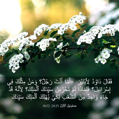 Picture 03 - صَمُوئِيلَ ٱلْأَوَّلُ 26:15 AVD - فَقَالَ دَاوُدُ - Bible Verse Picture