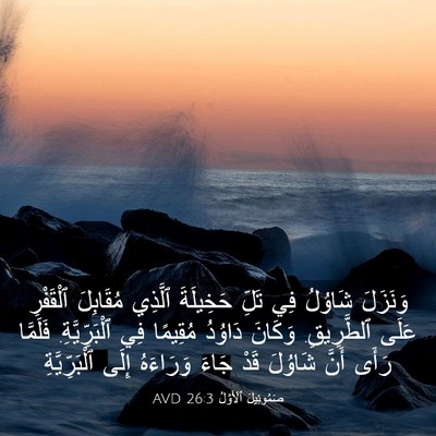 Picture 03 - صَمُوئِيلَ ٱلْأَوَّلُ 26:3 AVD - وَنَزَلَ شَاوُلُ فِي تَلِّ - Bible Verse Picture