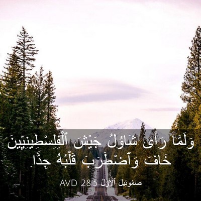 Picture 03 - صَمُوئِيلَ ٱلْأَوَّلُ 28:5 AVD - وَلَمَّا رَأَى شَاوُلُ - Bible Verse Picture