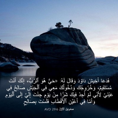 Picture 03 - صَمُوئِيلَ ٱلْأَوَّلُ 29:6 AVD - فَدَعَا أَخِيشُ دَاوُدَ - Bible Verse Picture