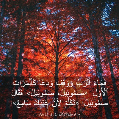 Picture 03 - صَمُوئِيلَ ٱلْأَوَّلُ 3:10 AVD - فَجَاءَ ٱلرَّبُّ وَوَقَفَ - Bible Verse Picture