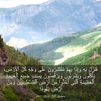 Picture 03 - صَمُوئِيلَ ٱلْأَوَّلُ 30:16 AVD - فَنَزَلَ بِهِ وَإِذَا - Bible Verse Picture