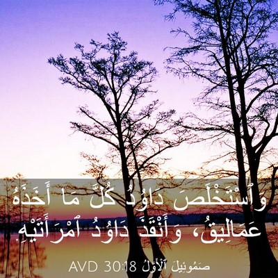 Picture 03 - صَمُوئِيلَ ٱلْأَوَّلُ 30:18 AVD - وَٱسْتَخْلَصَ دَاوُدُ - Bible Verse Picture