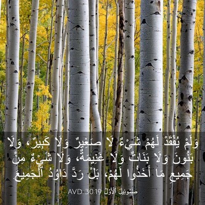 Picture 03 - صَمُوئِيلَ ٱلْأَوَّلُ 30:19 AVD - وَلَمْ يُفْقَدْ لَهُمْ - Bible Verse Picture