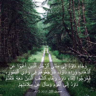 Picture 03 - صَمُوئِيلَ ٱلْأَوَّلُ 30:21 AVD - وَجَاءَ دَاوُدُ إِلَى - Bible Verse Picture
