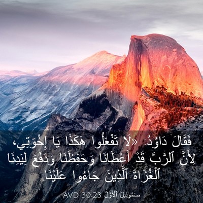 Picture 03 - صَمُوئِيلَ ٱلْأَوَّلُ 30:23 AVD - فَقَالَ دَاوُدُ: «لَا - Bible Verse Picture