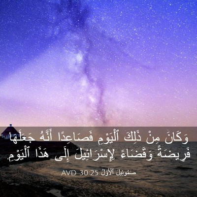 Picture 03 - صَمُوئِيلَ ٱلْأَوَّلُ 30:25 AVD - وَكَانَ مِنْ ذَلِكَ - Bible Verse Picture