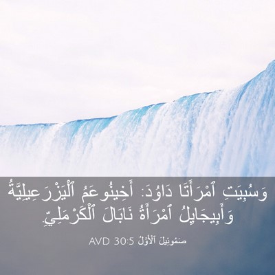 Picture 03 - صَمُوئِيلَ ٱلْأَوَّلُ 30:5 AVD - وَسُبِيَتِ ٱمْرَأَتَا - Bible Verse Picture