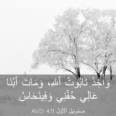 Picture 03 - صَمُوئِيلَ ٱلْأَوَّلُ 4:11 AVD - وَأُخِذَ تَابُوتُ ٱللهِ، - Bible Verse Picture