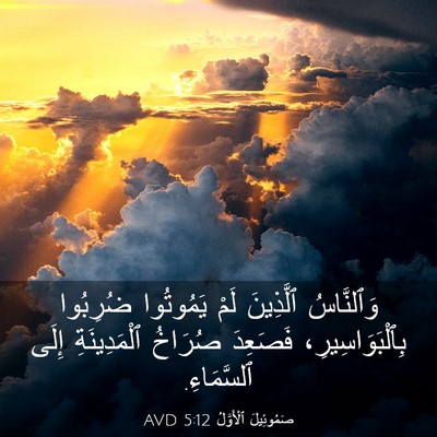 Picture 03 - صَمُوئِيلَ ٱلْأَوَّلُ 5:12 AVD - وَٱلنَّاسُ ٱلَّذِينَ لَمْ - Bible Verse Picture