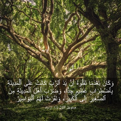 Picture 03 - صَمُوئِيلَ ٱلْأَوَّلُ 5:9 AVD - وَكَانَ بَعْدَمَا - Bible Verse Picture