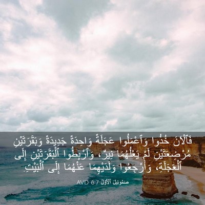 Picture 03 - صَمُوئِيلَ ٱلْأَوَّلُ 6:7 AVD - فَٱلْآنَ خُذُوا - Bible Verse Picture