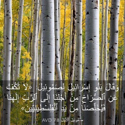 Picture 03 - صَمُوئِيلَ ٱلْأَوَّلُ 7:8 AVD - وَقَالَ بَنُو - Bible Verse Picture