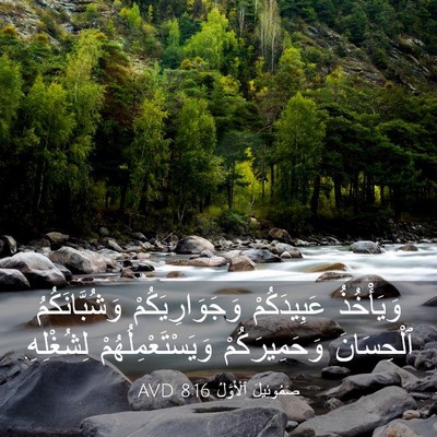 Picture 03 - صَمُوئِيلَ ٱلْأَوَّلُ 8:16 AVD - وَيَأْخُذُ عَبِيدَكُمْ - Bible Verse Picture