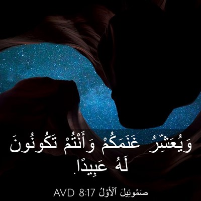 Picture 03 - صَمُوئِيلَ ٱلْأَوَّلُ 8:17 AVD - وَيُعَشِّرُ غَنَمَكُمْ - Bible Verse Picture