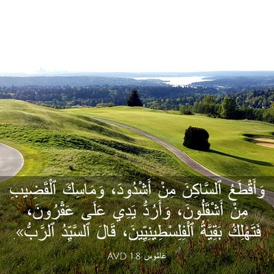 Picture 03 - عَامُوس 1:8 AVD - وَأَقْطَعُ ٱلسَّاكِنَ - Bible Verse Picture
