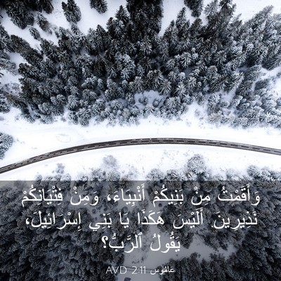 Picture 03 - عَامُوس 2:11 AVD - وَأَقَمْتُ مِنْ بَنِيكُمْ - Bible Verse Picture