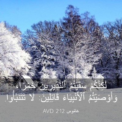 Picture 03 - عَامُوس 2:12 AVD - لَكِنَّكُمْ سَقَيْتُمُ - Bible Verse Picture