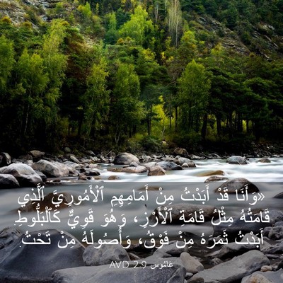Picture 03 - عَامُوس 2:9 AVD - «وَأَنَا قَدْ أَبَدْتُ - Bible Verse Picture