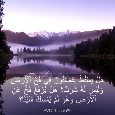Picture 03 - عَامُوس 3:5 AVD - هَلْ يَسْقُطُ عُصْفُورٌ - Bible Verse Picture