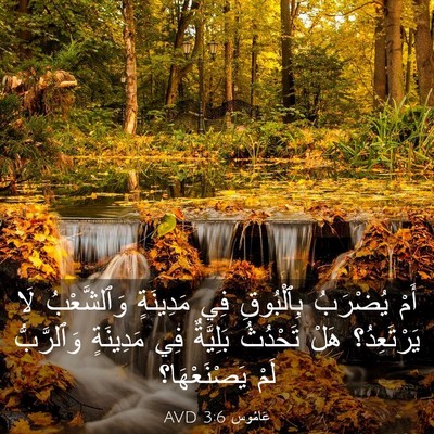 Picture 03 - عَامُوس 3:6 AVD - أَمْ يُضْرَبُ بِٱلْبُوقِ - Bible Verse Picture