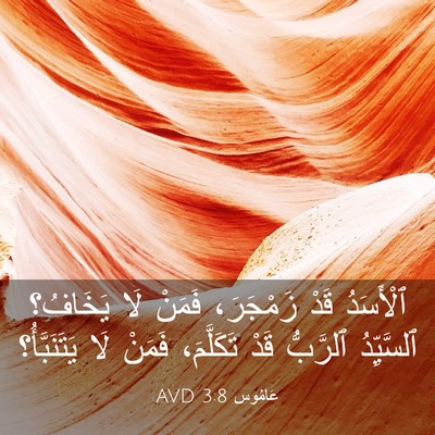 Picture 03 - عَامُوس 3:8 AVD - ٱلْأَسَدُ قَدْ زَمْجَرَ، - Bible Verse Picture