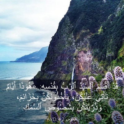 Picture 03 - عَامُوس 4:2 AVD - قَدْ أَقْسَمَ ٱلسَّيِّدُ - Bible Verse Picture