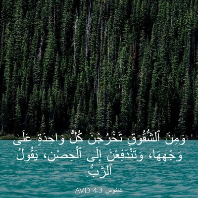 Picture 03 - عَامُوس 4:3 AVD - وَمِنَ ٱلشُّقُوقِ - Bible Verse Picture