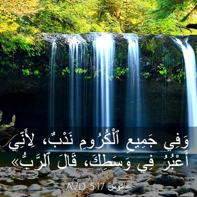 Picture 03 - عَامُوس 5:17 AVD - وَفِي جَمِيعِ ٱلْكُرُومِ - Bible Verse Picture