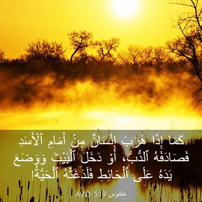 Picture 03 - عَامُوس 5:19 AVD - كَمَا إِذَا هَرَبَ - Bible Verse Picture