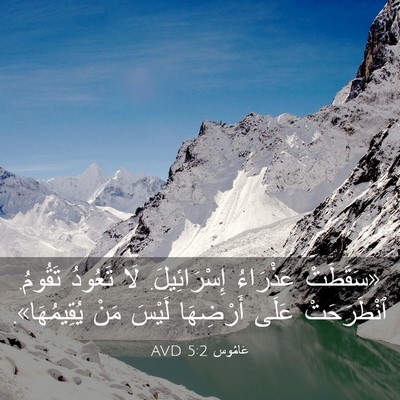 Picture 03 - عَامُوس 5:2 AVD - «سَقَطَتْ عَذْرَاءُ - Bible Verse Picture