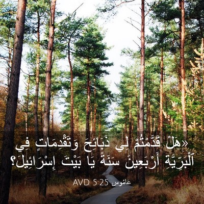 Picture 03 - عَامُوس 5:25 AVD - «هَلْ قَدَّمْتُمْ لِي - Bible Verse Picture