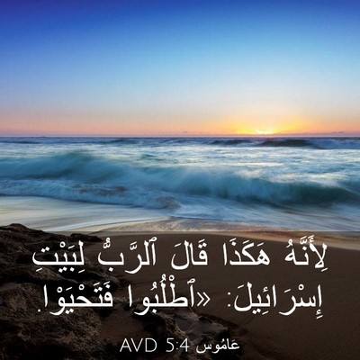 Picture 03 - عَامُوس 5:4 AVD - لِأَنَّهُ هَكَذَا قَالَ - Bible Verse Picture