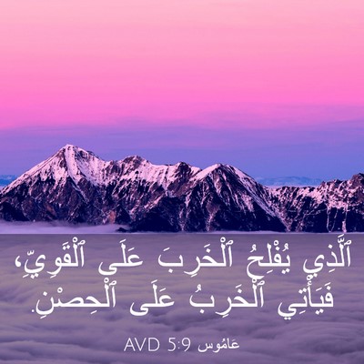 Picture 03 - عَامُوس 5:9 AVD - ٱلَّذِي يُفْلِحُ - Bible Verse Picture