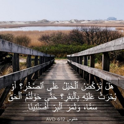 Picture 03 - عَامُوس 6:12 AVD - هَلْ تَرْكُضُ ٱلْخَيْلُ - Bible Verse Picture