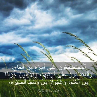 Picture 03 - عَامُوس 6:4 AVD - ٱلْمُضْطَجِعُونَ عَلَى - Bible Verse Picture