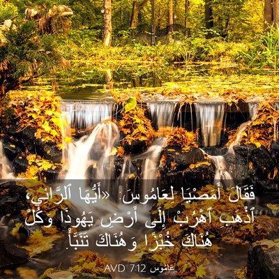 Picture 03 - عَامُوس 7:12 AVD - فَقَالَ أَمَصْيَا - Bible Verse Picture