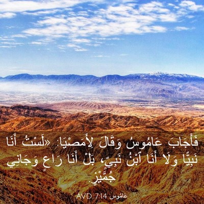 Picture 03 - عَامُوس 7:14 AVD - فَأَجَابَ عَامُوسُ - Bible Verse Picture