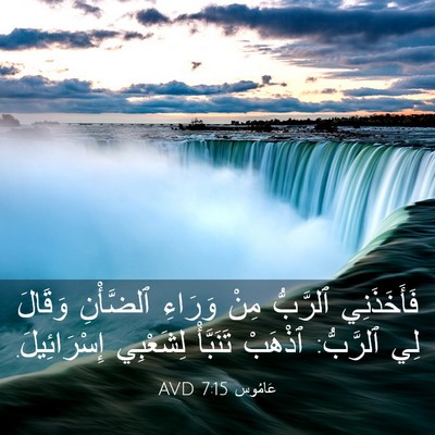 Picture 03 - عَامُوس 7:15 AVD - فَأَخَذَنِي ٱلرَّبُّ مِنْ - Bible Verse Picture