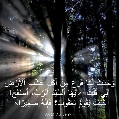 Picture 03 - عَامُوس 7:2 AVD - وَحَدَثَ لَمَّا فَرَغَ - Bible Verse Picture