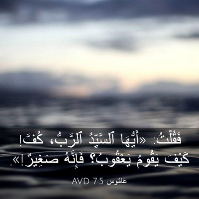 Picture 03 - عَامُوس 7:5 AVD - فَقُلْتُ: «أَيُّهَا - Bible Verse Picture