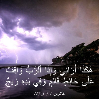 Picture 03 - عَامُوس 7:7 AVD - هَكَذَا أَرَانِي وَإِذَا - Bible Verse Picture