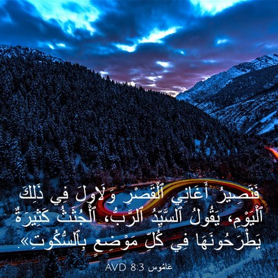 Picture 03 - عَامُوس 8:3 AVD - فَتَصِيرُ أَغَانِي - Bible Verse Picture